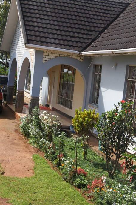 Blue house
