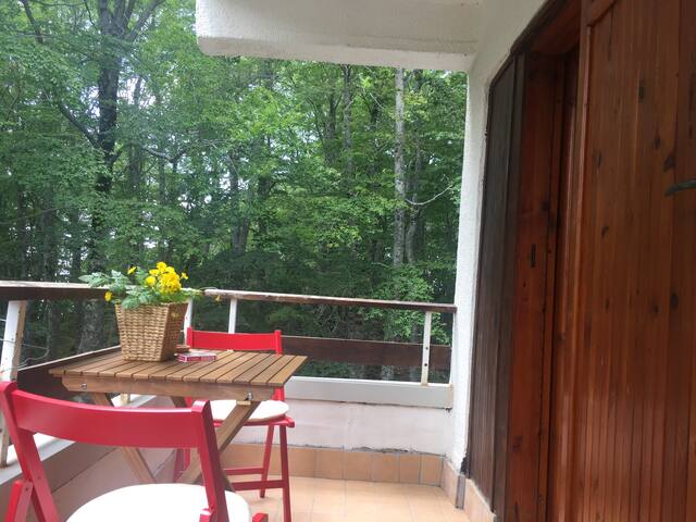 Airbnb Santa Rufina Vacation Rentals Places To Stay