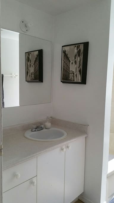 guest bathroom