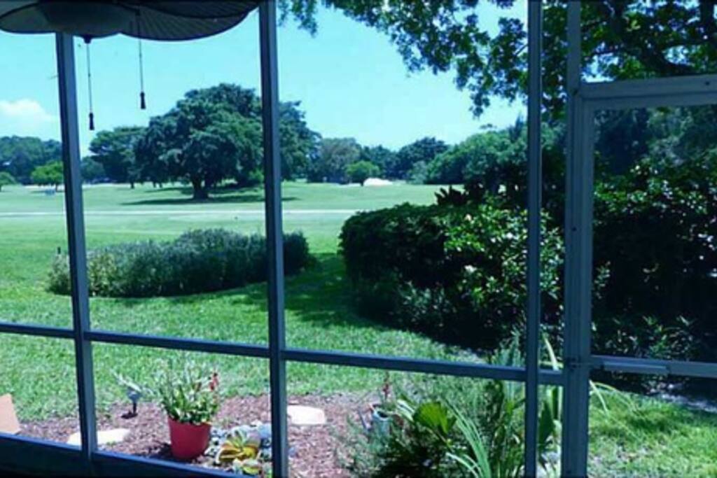 View from the screened in patio area