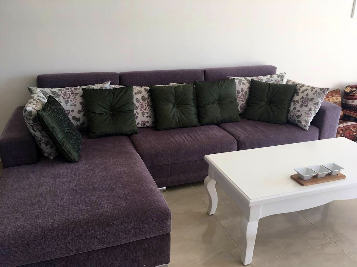 舒适的沙发可变成双人床