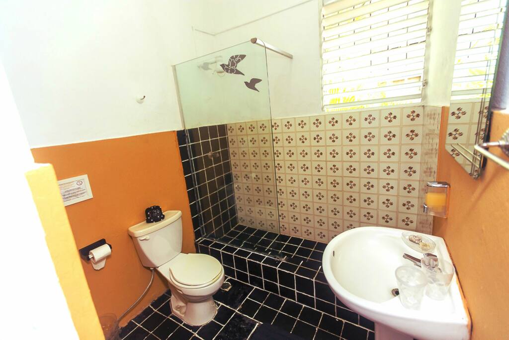 Baños decorados