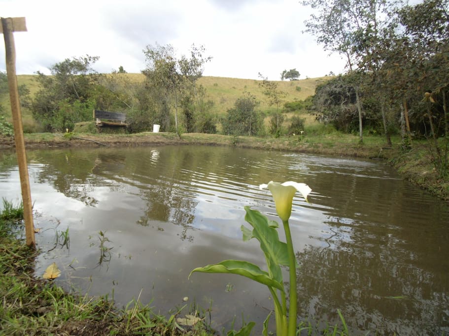 Lago de pesca, para aquellos q quieren divertirse y disfrutar un poco de esta gran experiencia. Puedes pescar y cocinar.