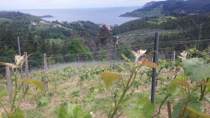Apto. Amplio Centro De Mundaka. E-bi-335 - Pedernales