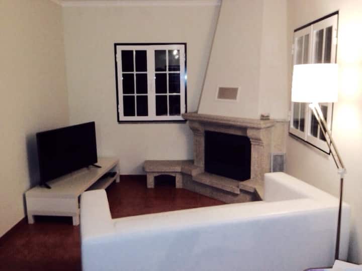 Sallë televizori me divan , oxhak me dru.