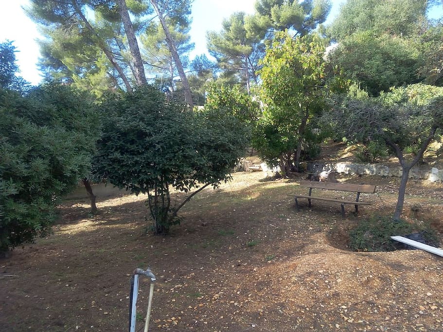 Jardin provençal