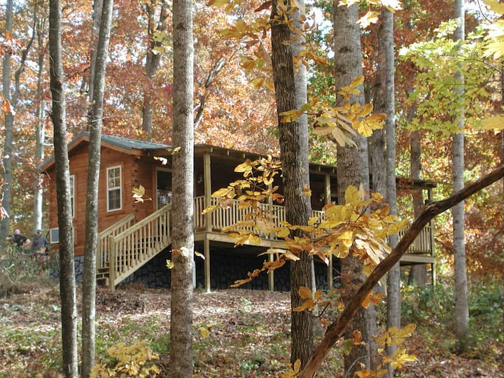 Lazy Lake Cabins Hendersonville Nc