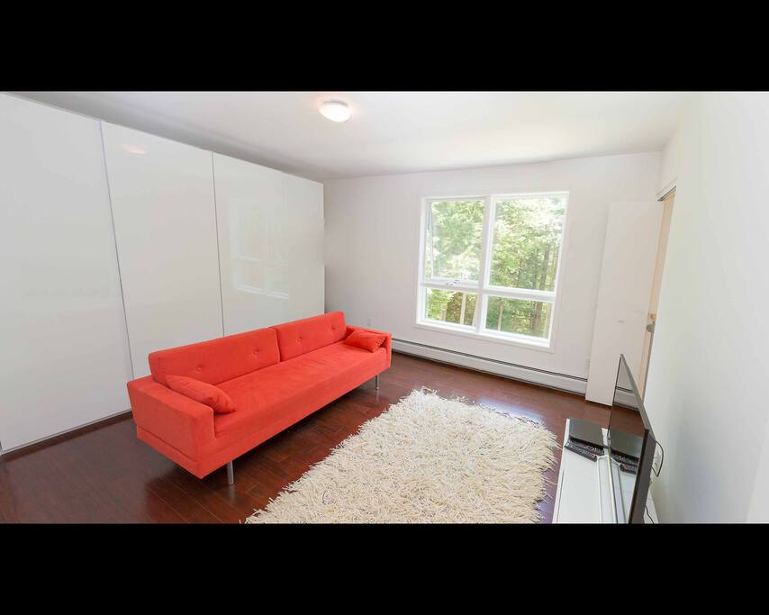 TV room with sleeper