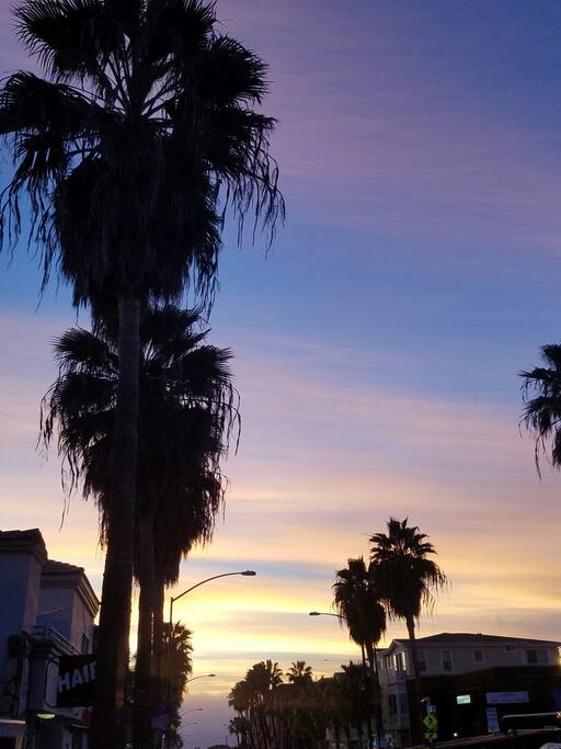 palm trees and the Pacific Ocean! Magical combination