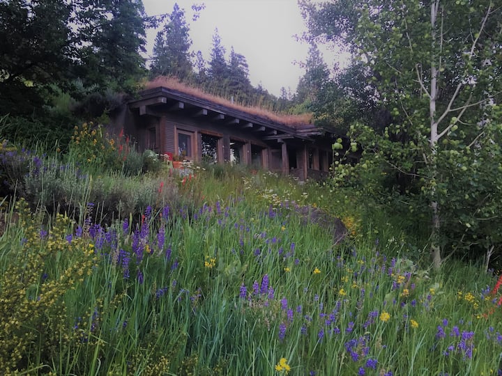 Howe Cabin, Upper Methow Valley Highlands, Mazama Cabins for Rent in