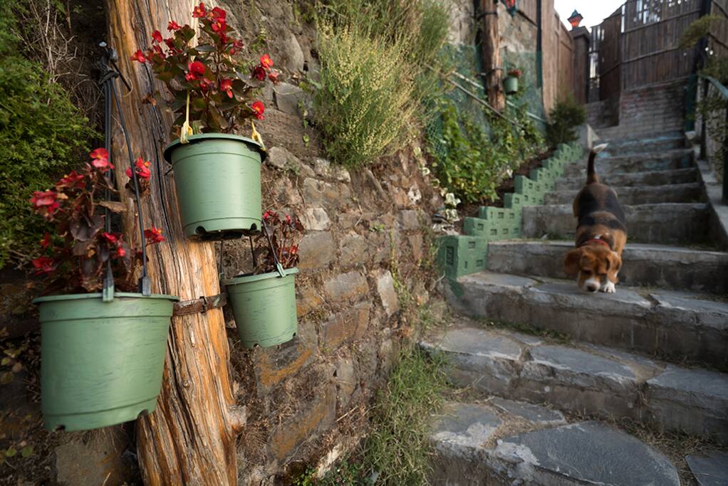 Steps leading to the property.