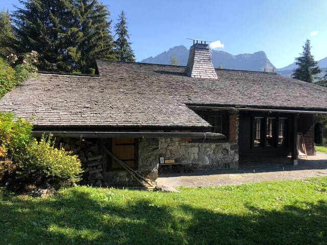 Luxurious Eco-Chalet: Swiss Mountain Escape gallery image 4