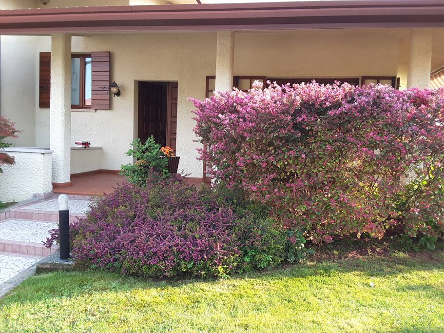 Casa dell'artista