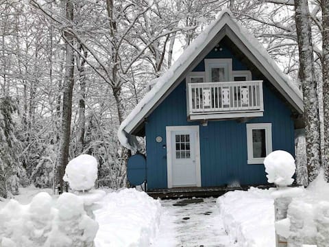 Blue Jay's Blue Chalet - 2 mins from SKI hill