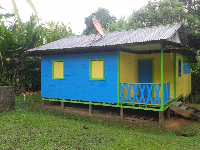 A vibrant wooden cabin features blue and yellow siding with green trim. It is surrounded by a grassy area, with tropical foliage in the background. A porch with railings is visible, along with several windows that allow natural light into the interior. A satellite dish is mounted on the roof.