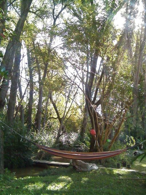 La casa tiene hamaca, parrilla, kayak familiar...
