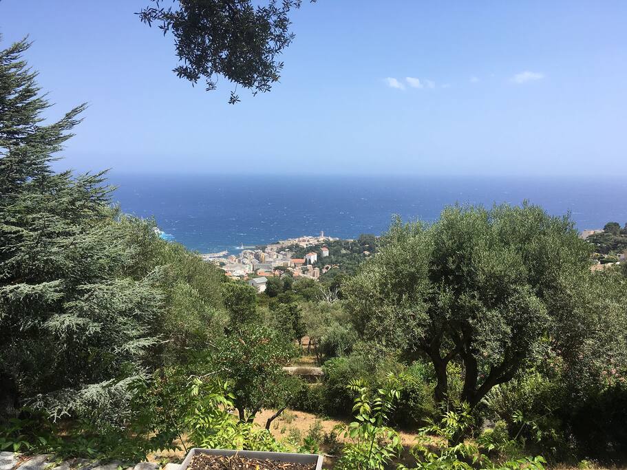 Vue sur la ville de Bastia