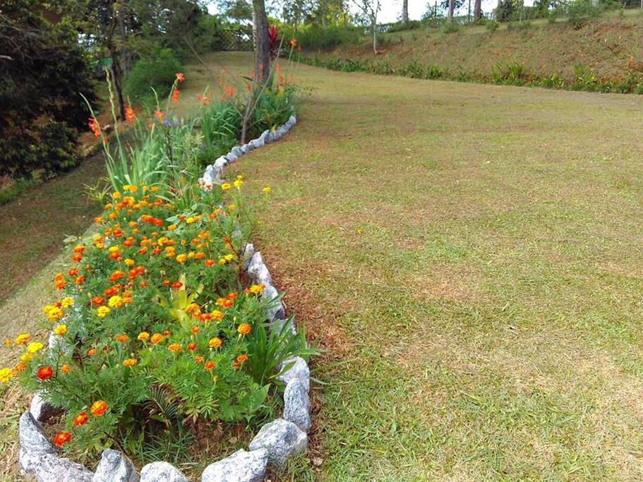 Jardins do Hortelier