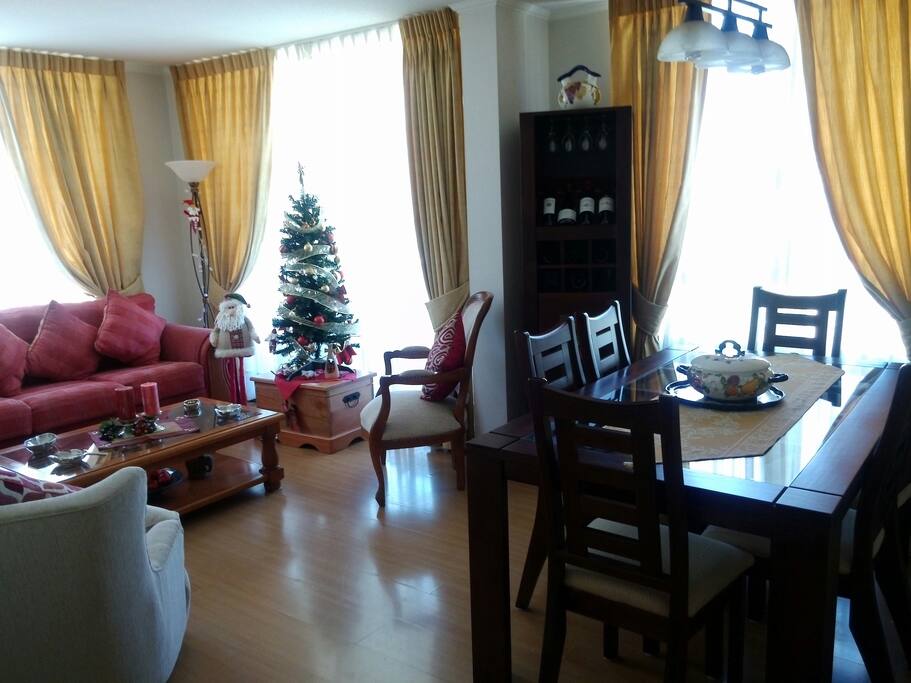 Espacio Común Living Comedor