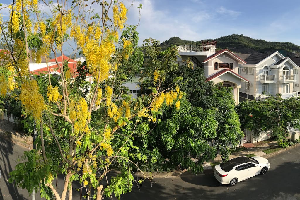 View from the balcony