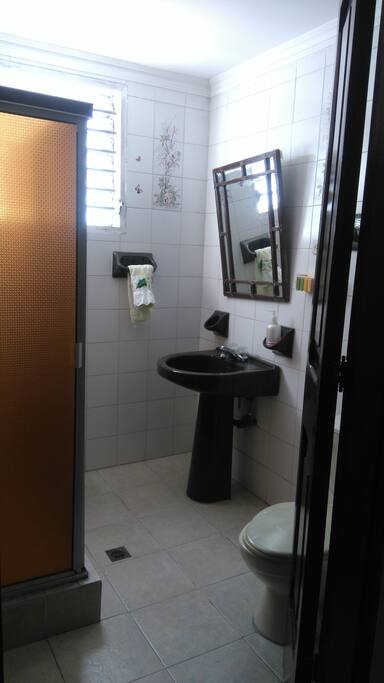 Shared Bathroom (downstairs)