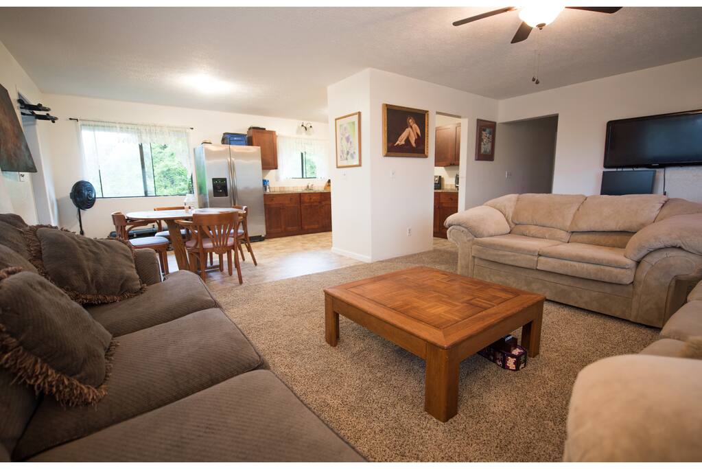 Living room + dining area