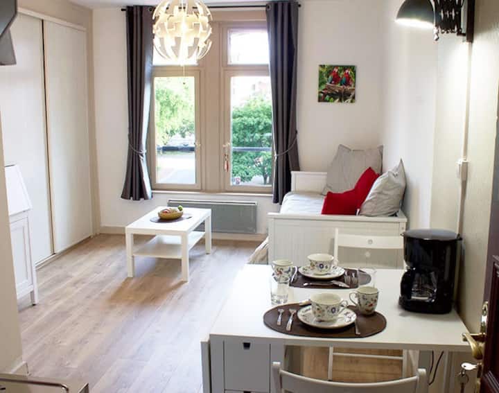 Lille Vacation Rentals & Homes HautsdeFrance, France Airbnb