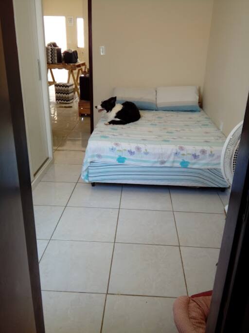 Amor em forma de dogs