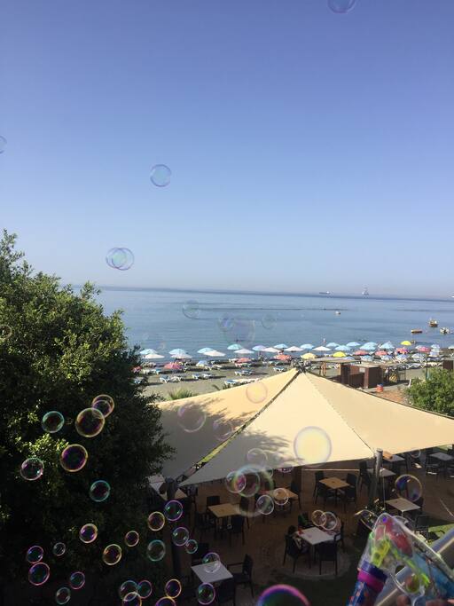 Your daily view!!!