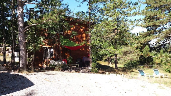 Warm wooden cottage