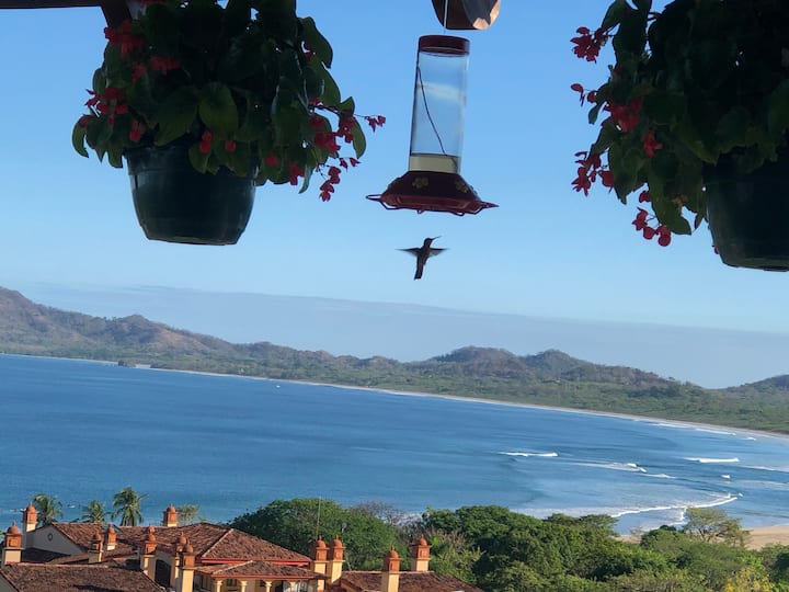 10 Best LongTerm Rentals In Tamarindo, Costa Rica Updated 2024 Trip101