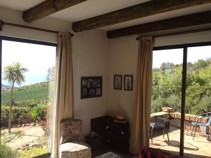 Главна стая на тераса