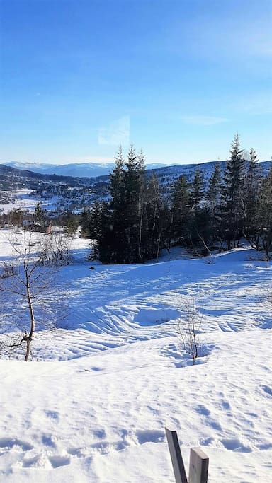 Utsikten fra hytten