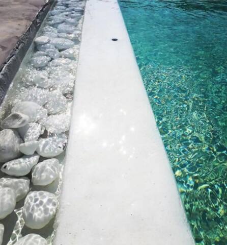 AVALON apartment OPAL,2 bedroom with swimming pool gallery image 4