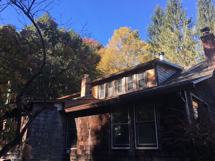 Side view, fall colors