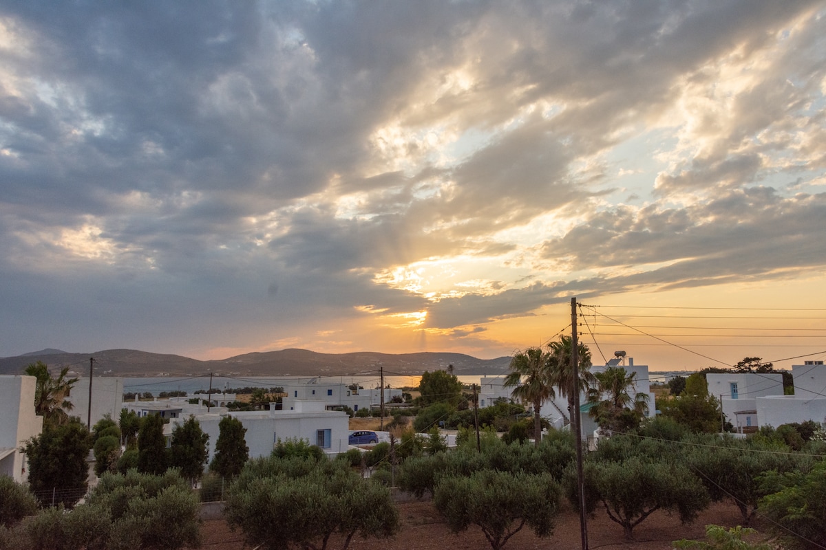 A panoramic view showcases a serene sunset over the landscape, with soft clouds and warm tones illuminating the sky. The foreground features rows of olive trees bordered by white structures. Distant hills create a tranquil backdrop, emphasizing the peaceful surroundings of the Kampos area.