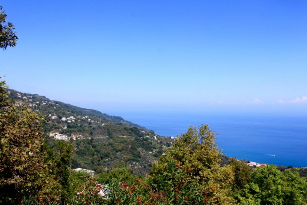 View from house