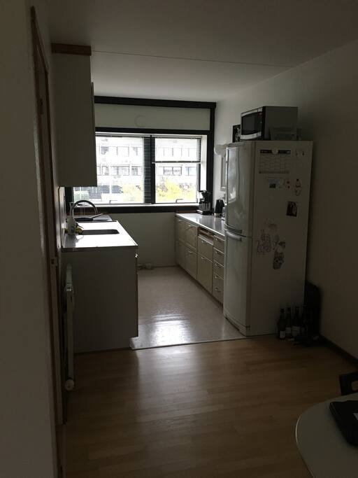 Kitchen/livingroom