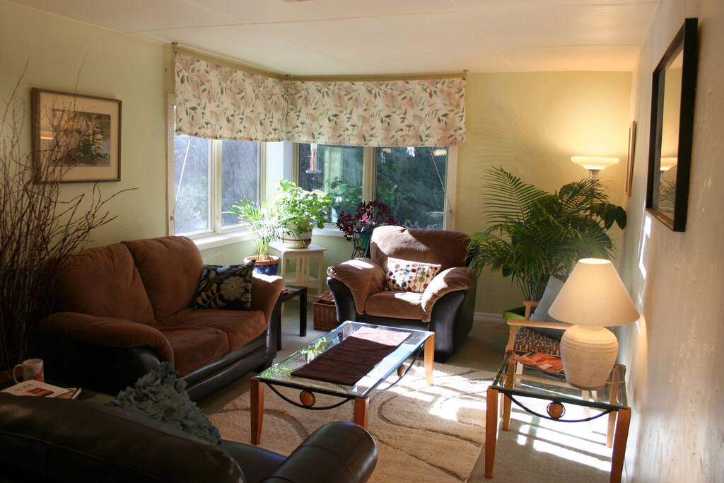 Sunlit, airy living room.