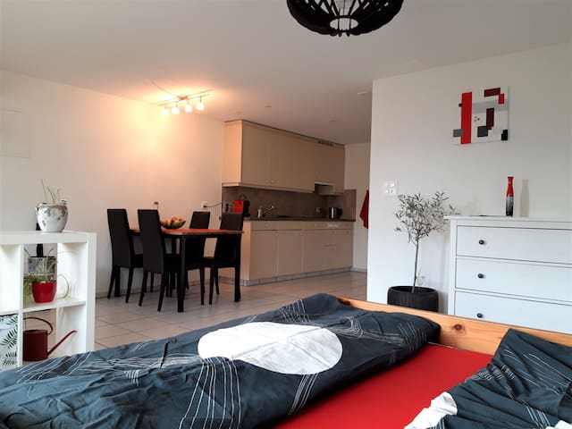 Gemütliche Einzimmerwohnung inkl. Küche und Bad