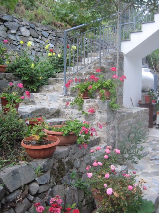 The stairs to Flora's house