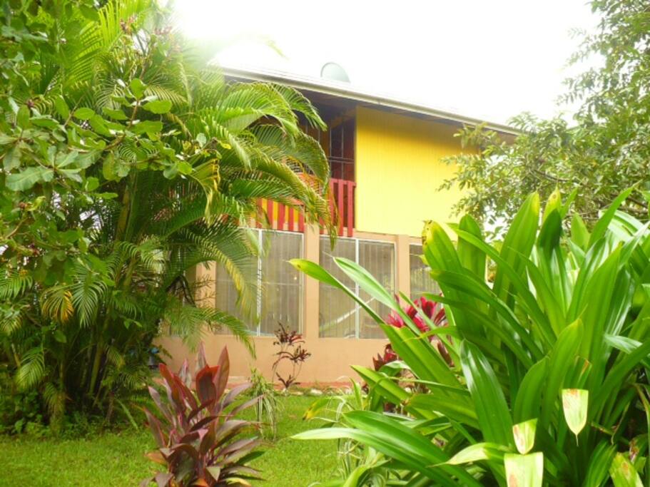 Beautiful lush greenery