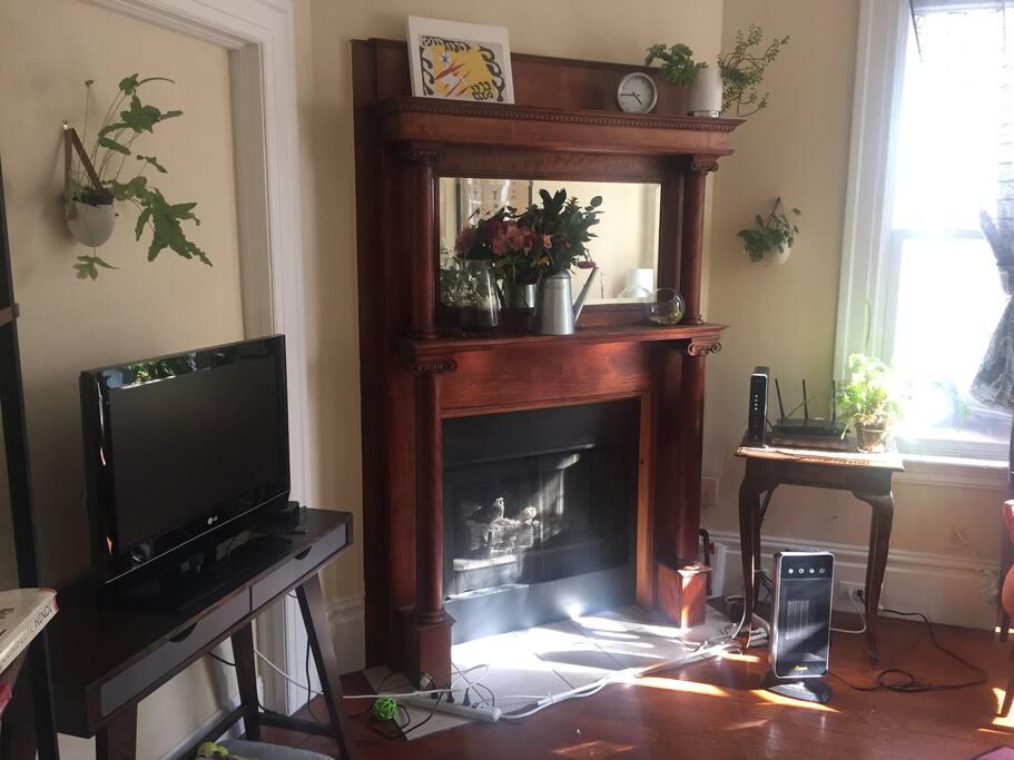 Living room with working gas fireplace and basic cable.