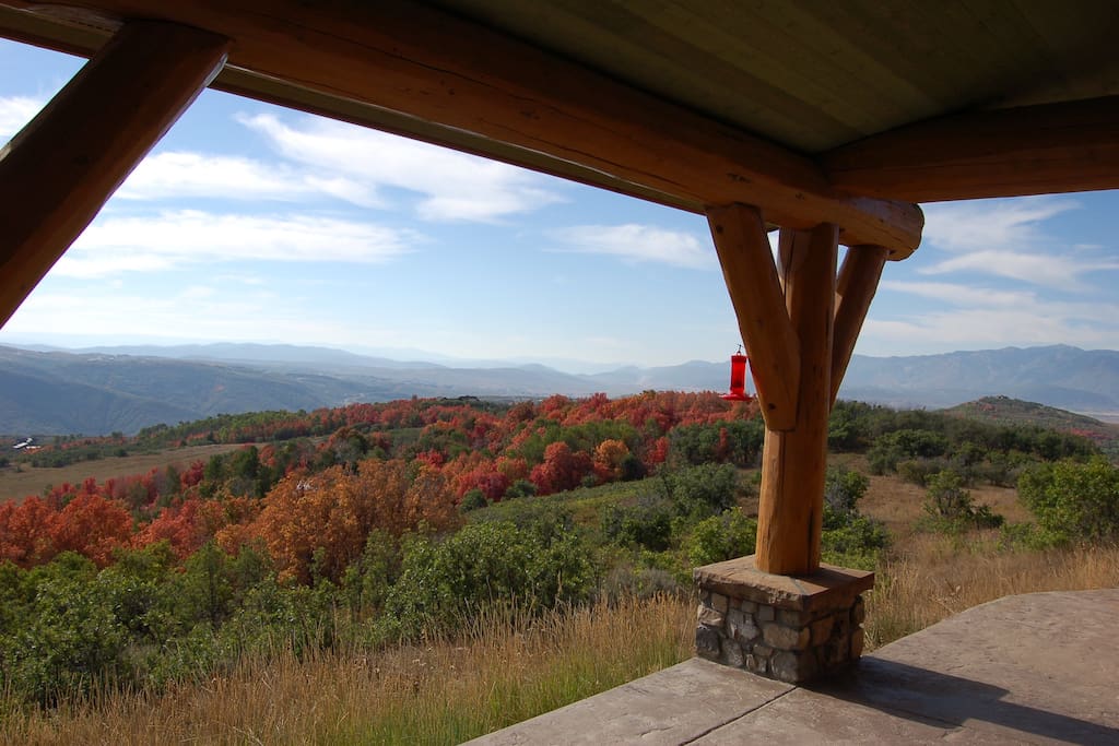 Looking South From Cabin Porch