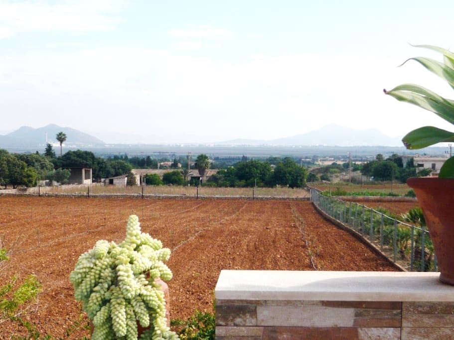 Weitblick bis zur Bucht von Alcudia
