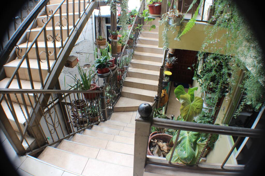 2 easy flights of stairs to apartment.