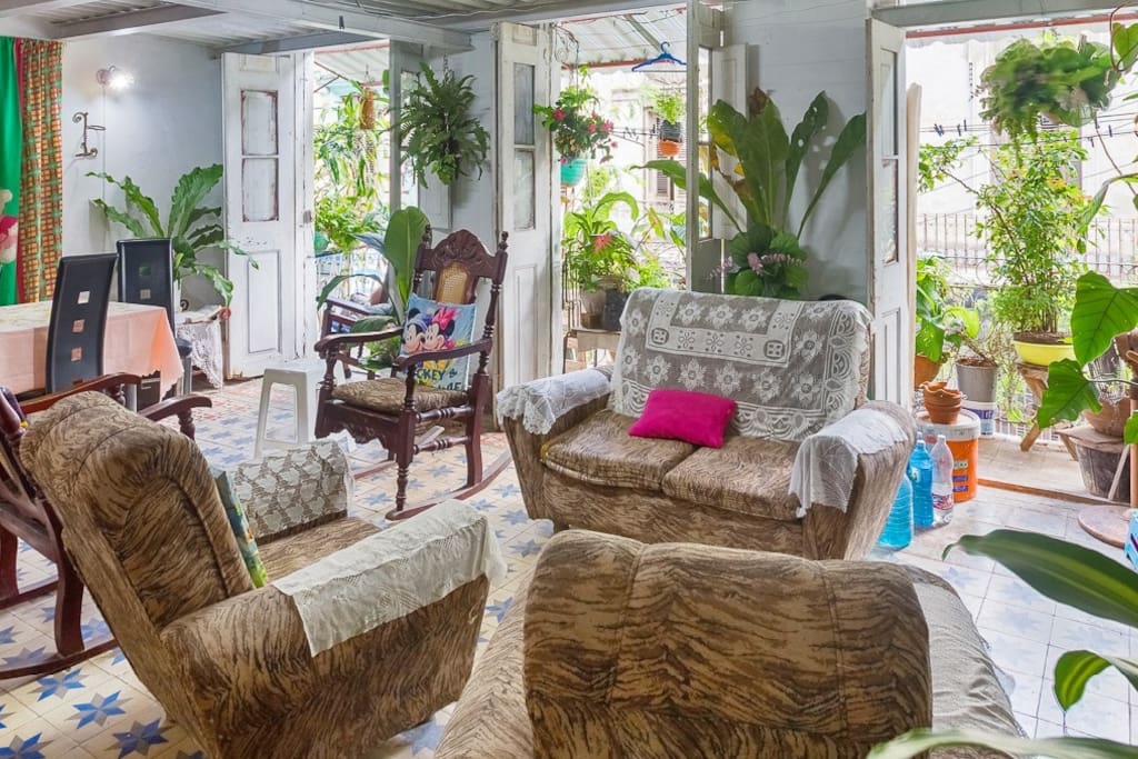 An Indoor Tropical Green Jungle Grows in a Old Havana House (love the balcony with plants on top)