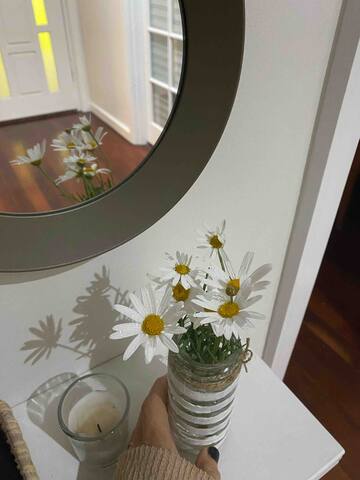 3×2 house with large backyard, pool, bbq and bar! gallery image 5