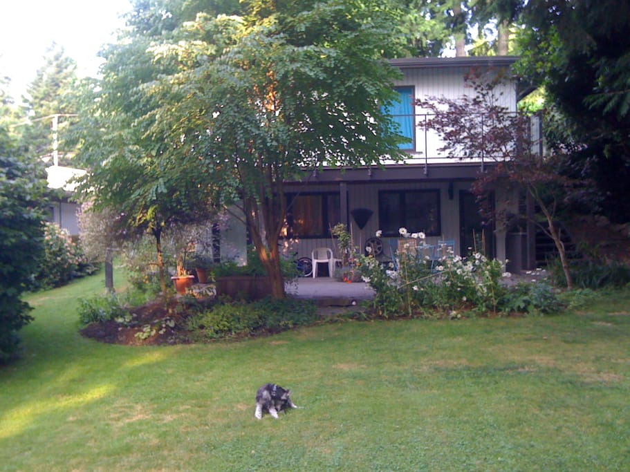 Garden Suite lower level of house, with patio and own entrance