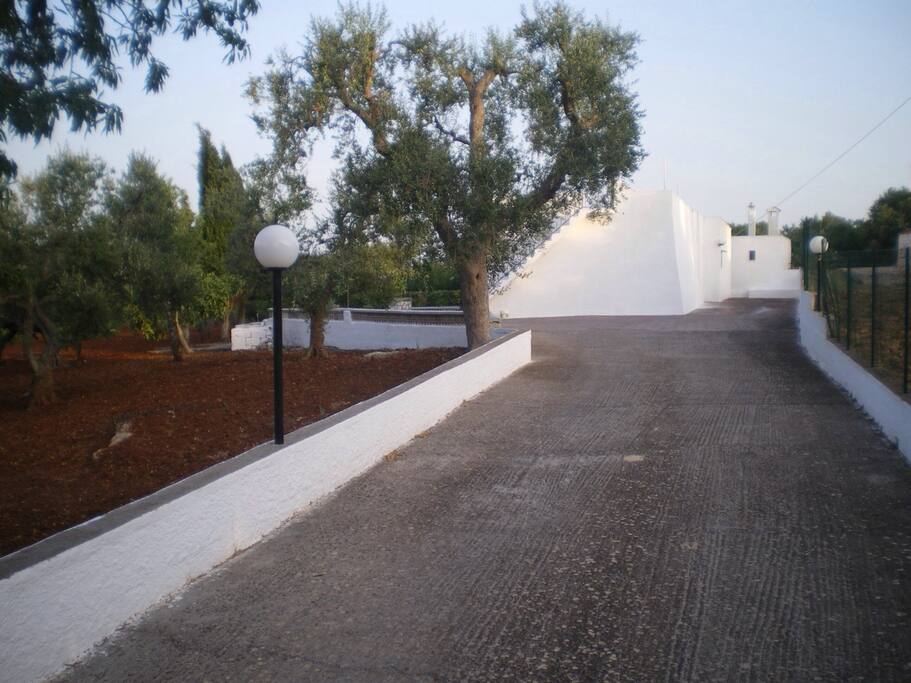 Viale di ingresso